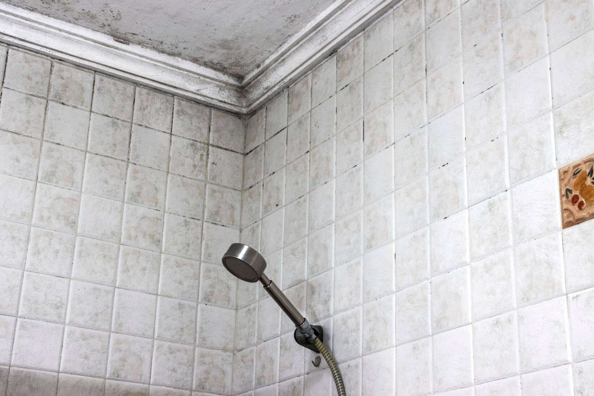 A bathroom with mold on the ceiling. Mold and stain cleaning.