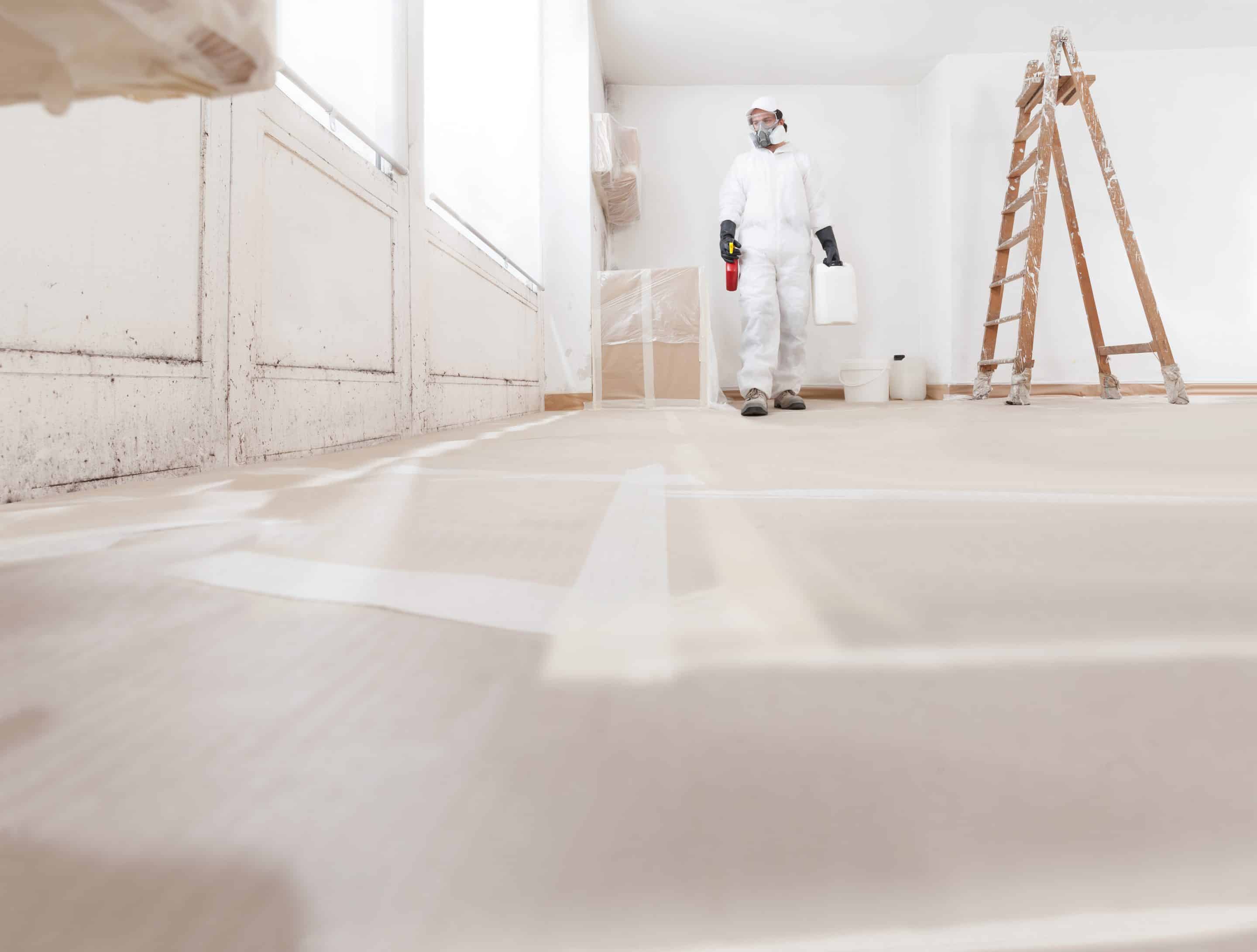 Mold removal service professional worker wearing a protective suit, gloves and face mask using products for mold remediation and repainting walls at home renovation site. Concept of home refurbishment