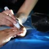 Whisper™ Nail Salon Source Capture System | Single Station - Image 5