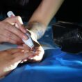 Whisper-Nails-In-Use-3-scaled(1)