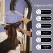 SPA-H-VOCs-960-×-850-px