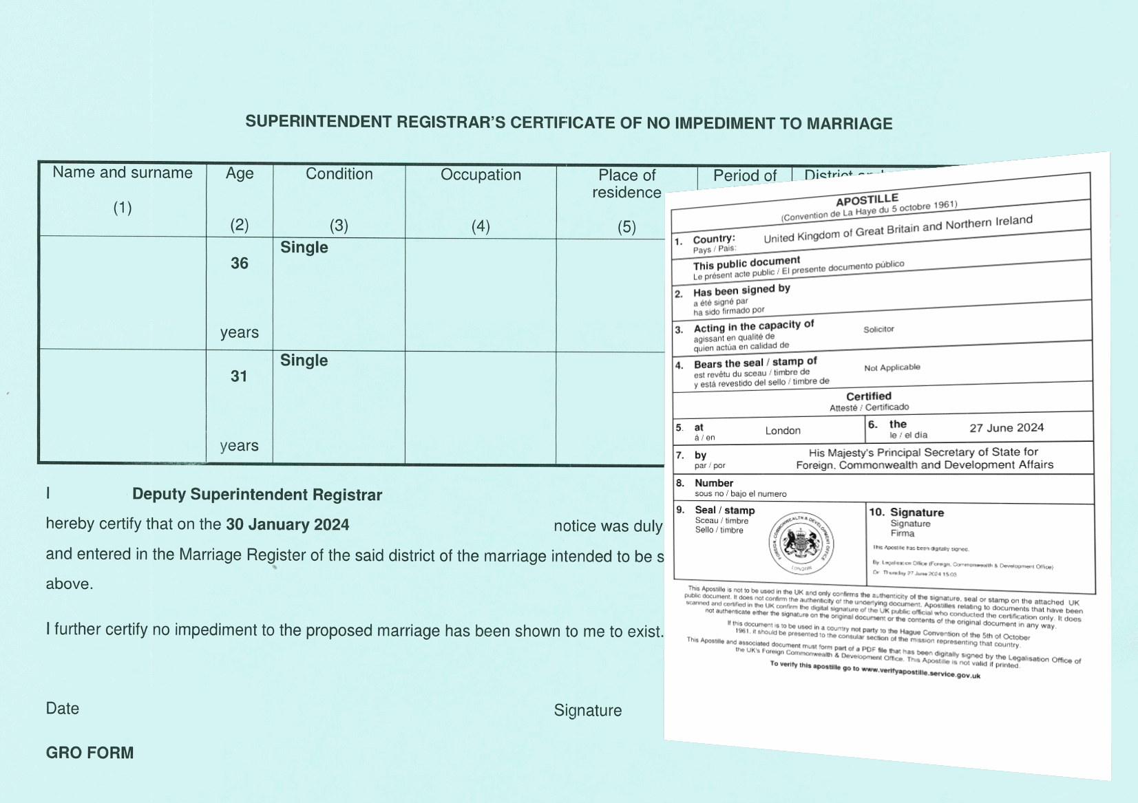 CNI with Apostille Certificate (Example)