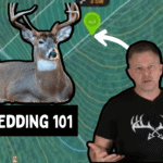 Buck Bedding 101. Learn how bucks choose their bedding areas.
