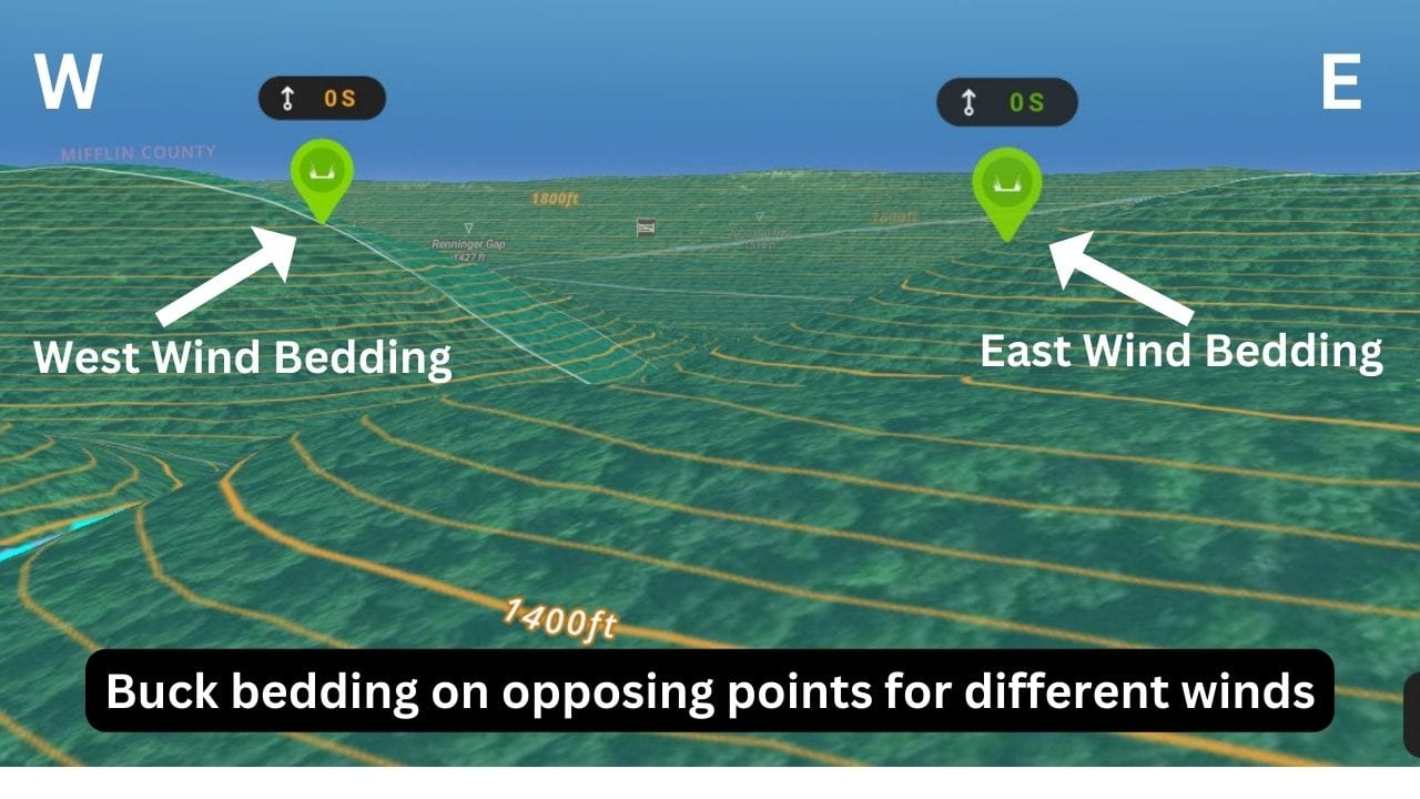 Map showing buck bedding on opposing points based on wind direction.