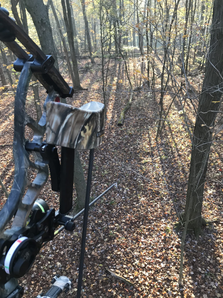 Bow hunting from a treestand