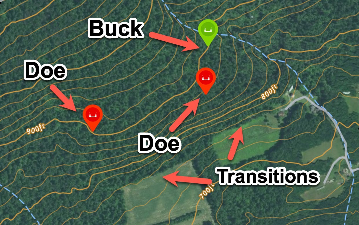 Aerial map showing likely buck bedding near cover and habitat transition areas