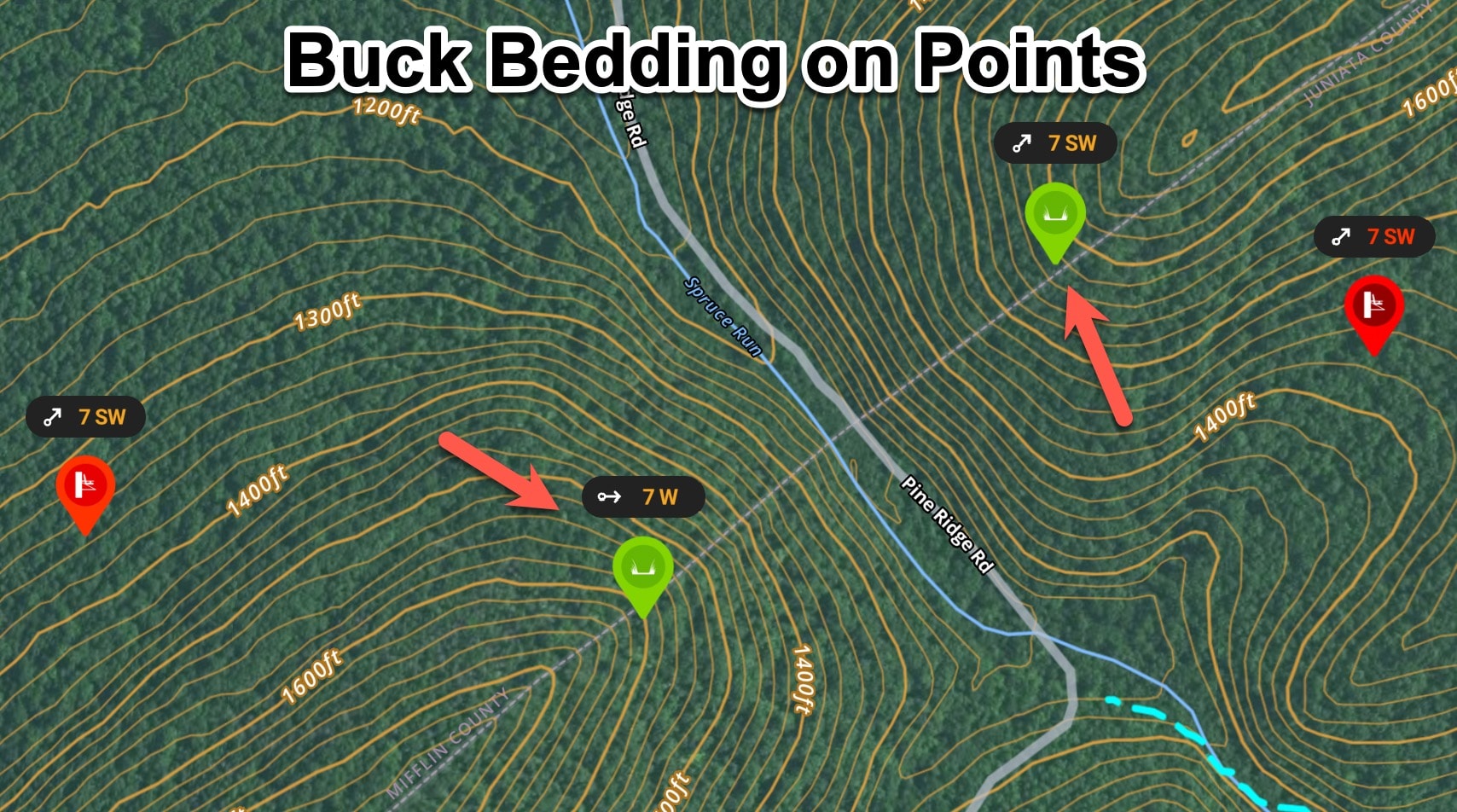 Annotated map example of possible buck bedding on ridge points and benches