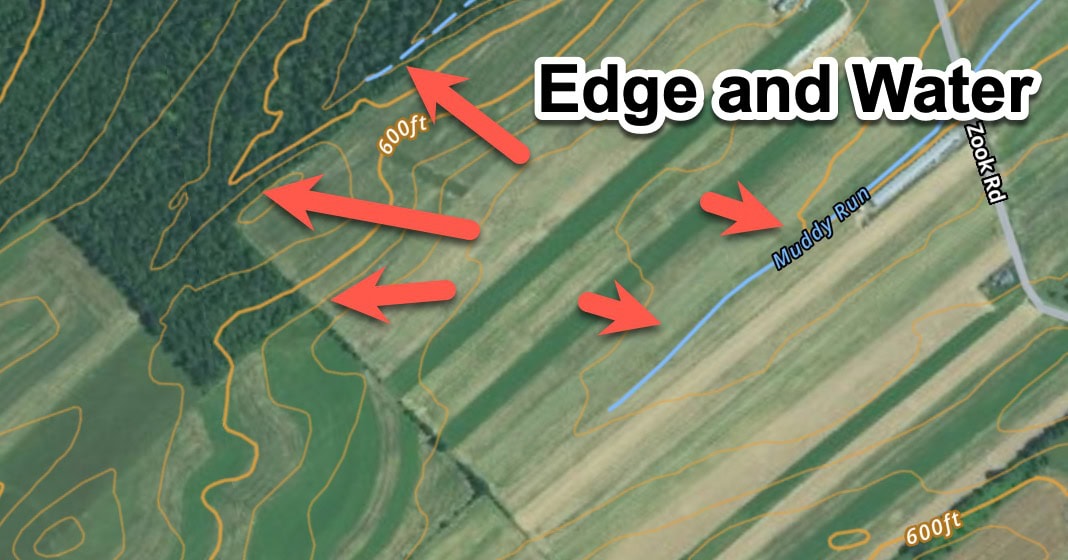 Aerial map example of edge and cover transitions near water that may create buck bedding candidates