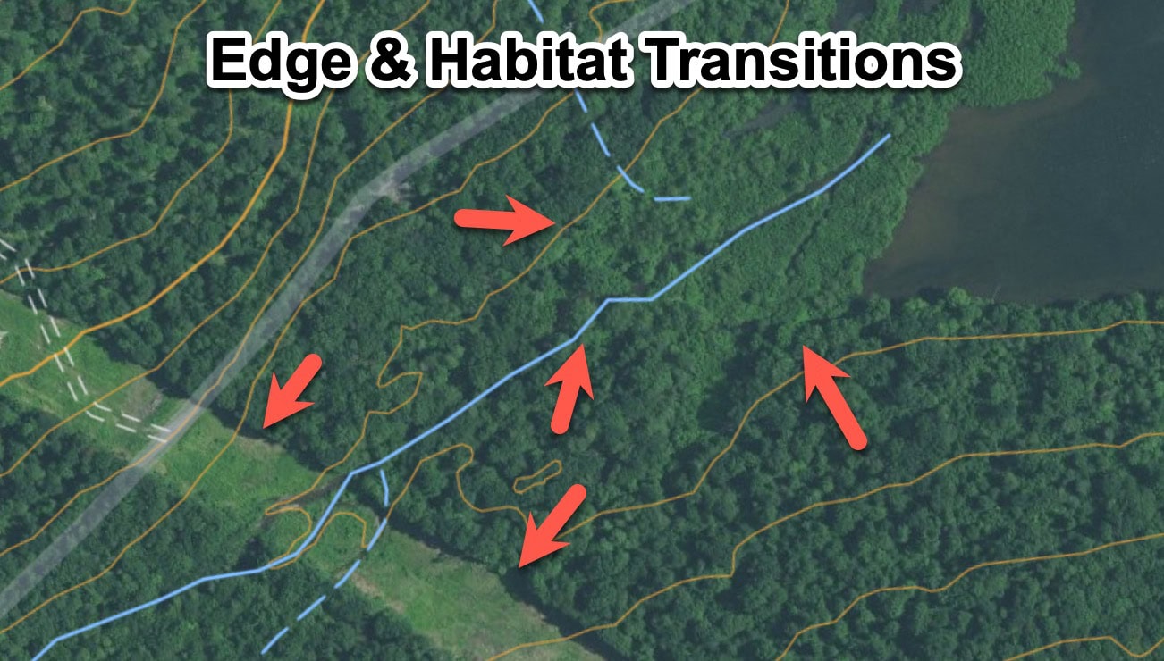 Field and aerial map comparison showing edge cover and habitat transitions around a bedding candidate