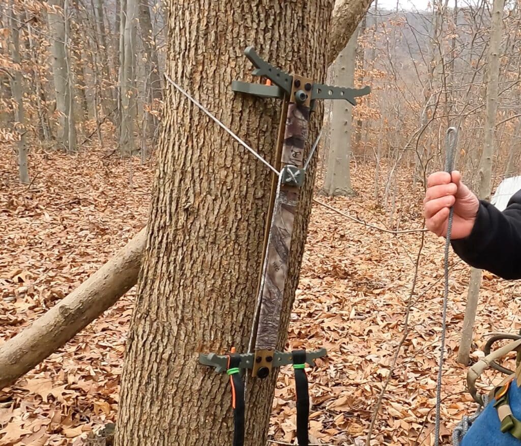 Skeletor stick attached to tree during my Tethrdd Skeletor Climbing Sticks Review