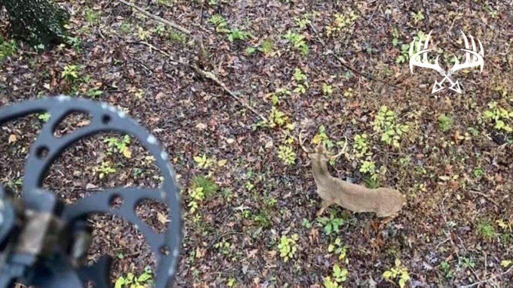 Mastering close range shots with a Single Pin Bow Sight when Bow Hunting.