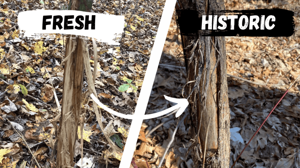 Learn how to understand and crack the code on buck rubs, rub lines, and signpost rubs.
