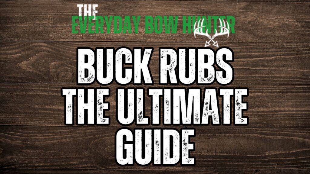 How to find mature buck rubs in hill country - the ultimate guide.