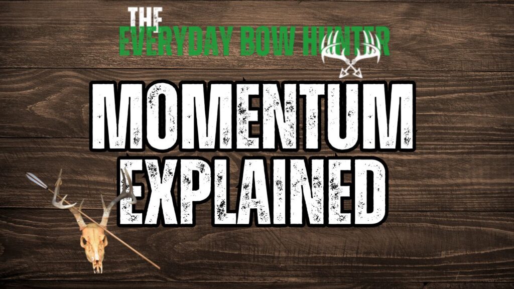 Momentum Explained