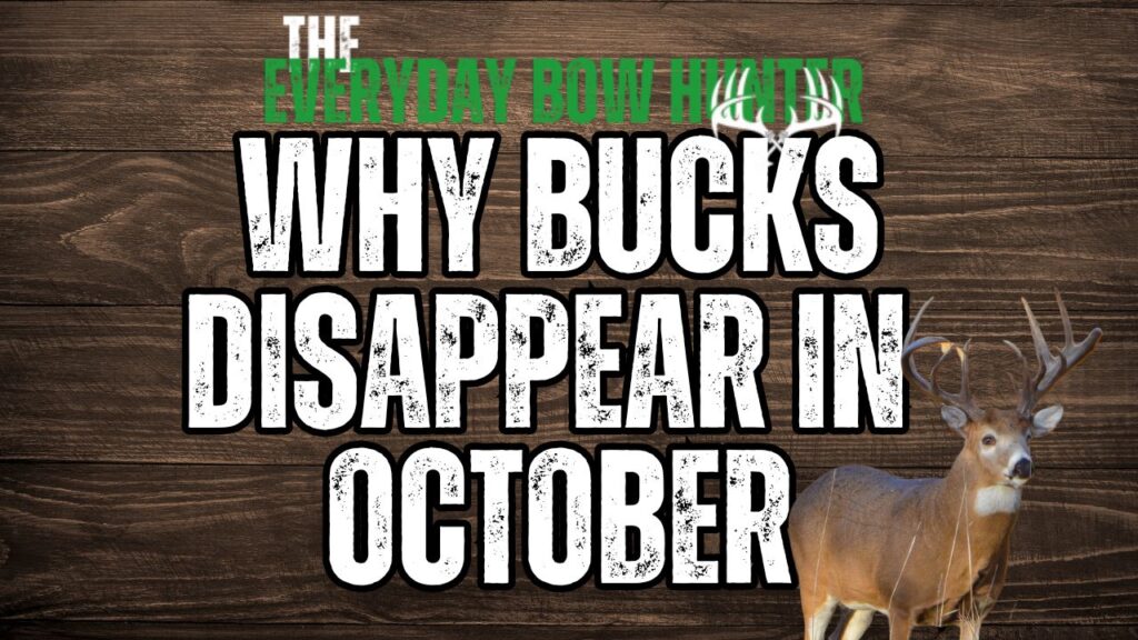 Why Bucks Disappear in October. Its not a lull.