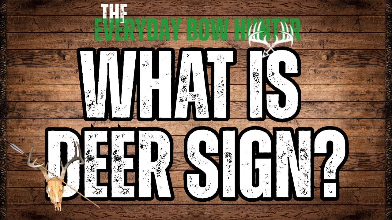 Deer Sign: How to Scout Tracks, Trails, Rubs, and Scrapes