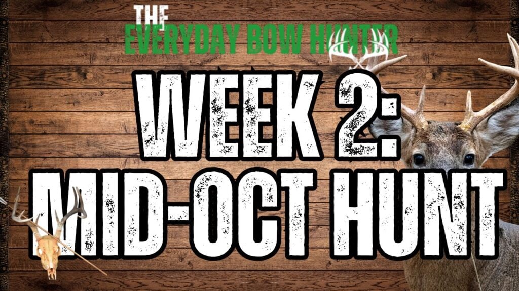 Week 2 Mid-October Bow Hunting Strategy