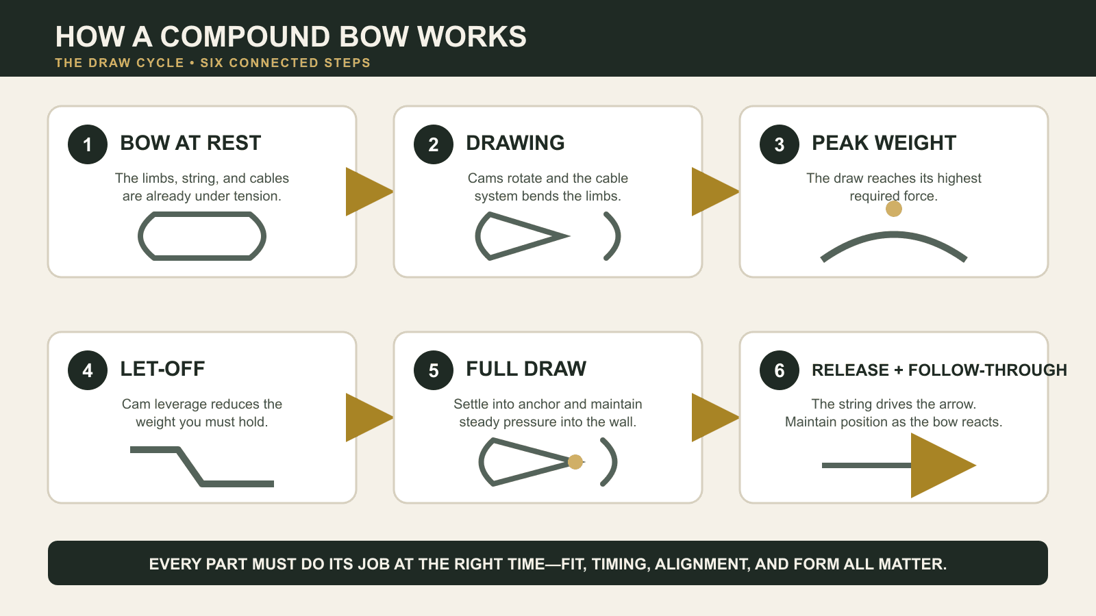 Six-step compound bow draw cycle from rest through drawing, peak weight, let-off, full draw, release, and follow-through.
