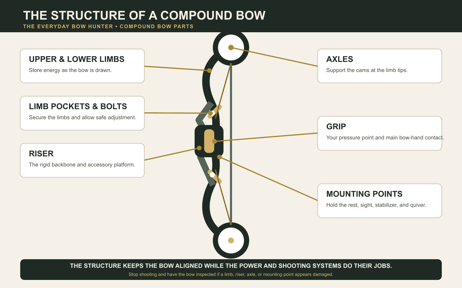 Labeled diagram of compound bow structure showing the riser, grip, limbs, limb pockets, bolts, axles, and mounting points.