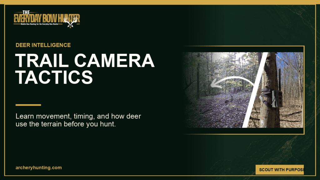 Trail camera placement and mature buck movement for bowhunting scouting