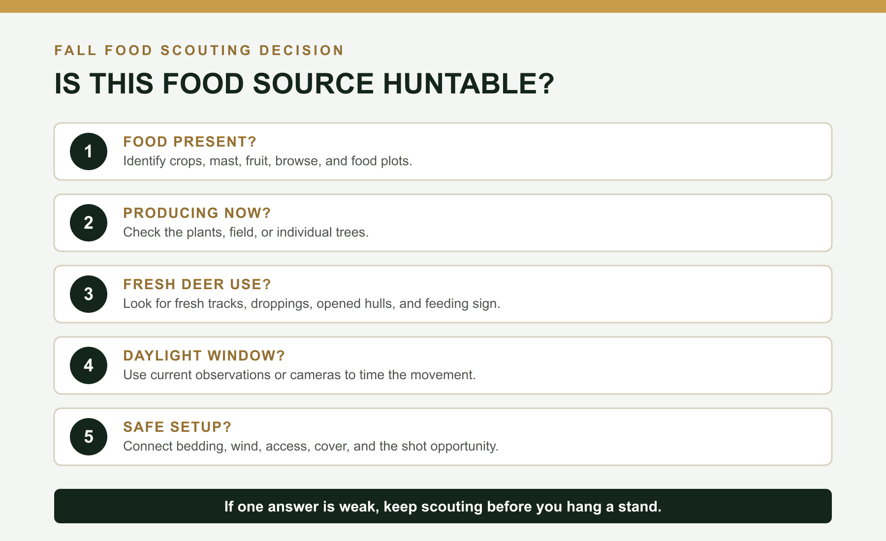 Five-step fall deer food source scouting decision: food present, producing now, fresh deer use, daylight window, and safe setup
