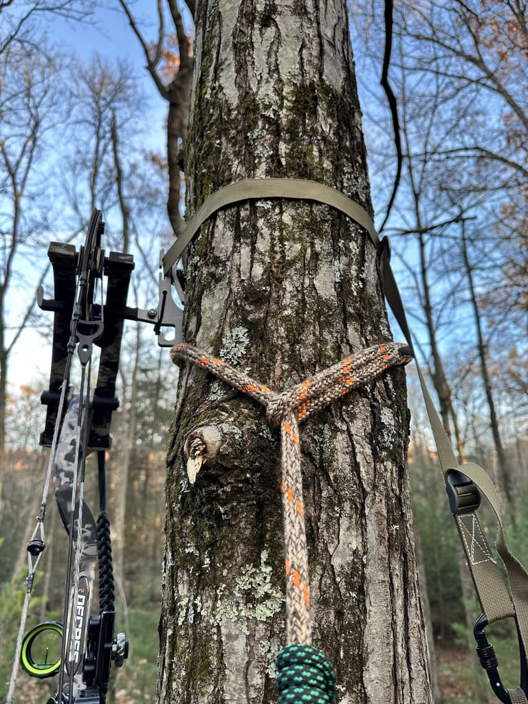 Bow secured on a Bite Bow Hanger to the left of a saddle hunting tree, with a strap hanging on the right for the backpack