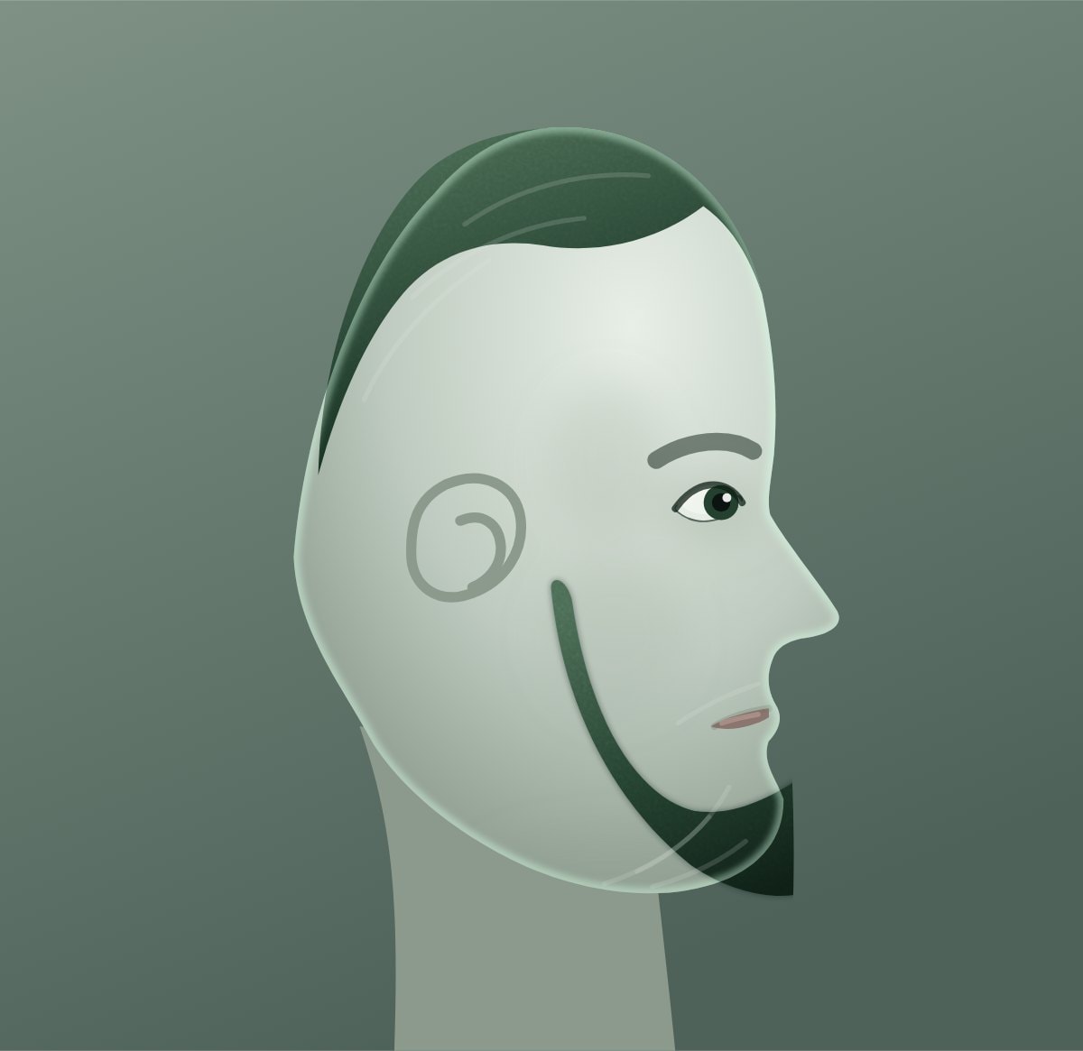 Profile diagram of the chin curtain beard style, showing how far it runs back toward the ear.