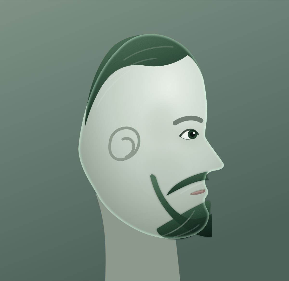 Profile diagram of the extended goatee beard style, showing how far it runs back toward the ear.
