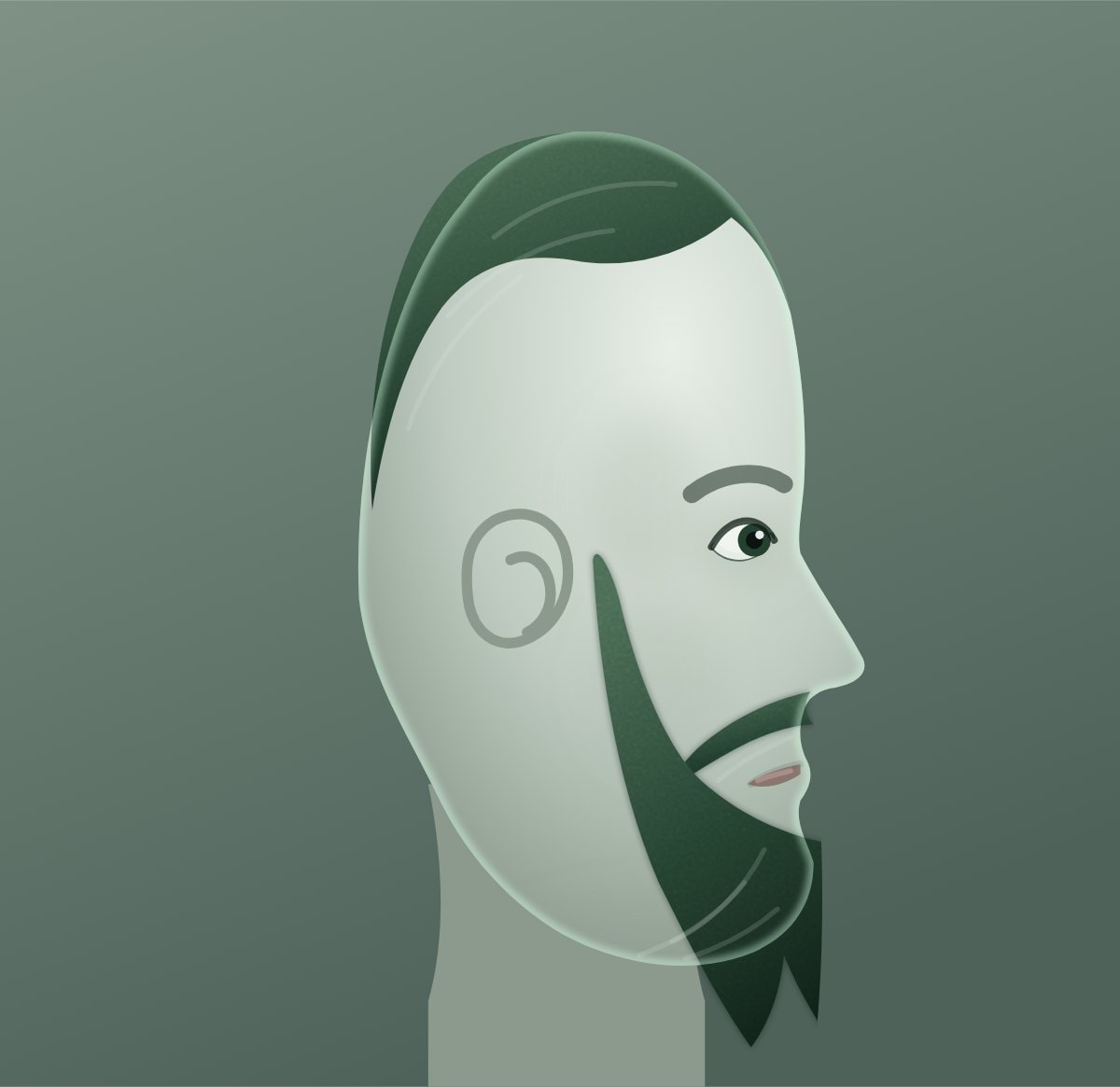 Profile diagram of the french fork beard style, showing how far it runs back toward the ear.