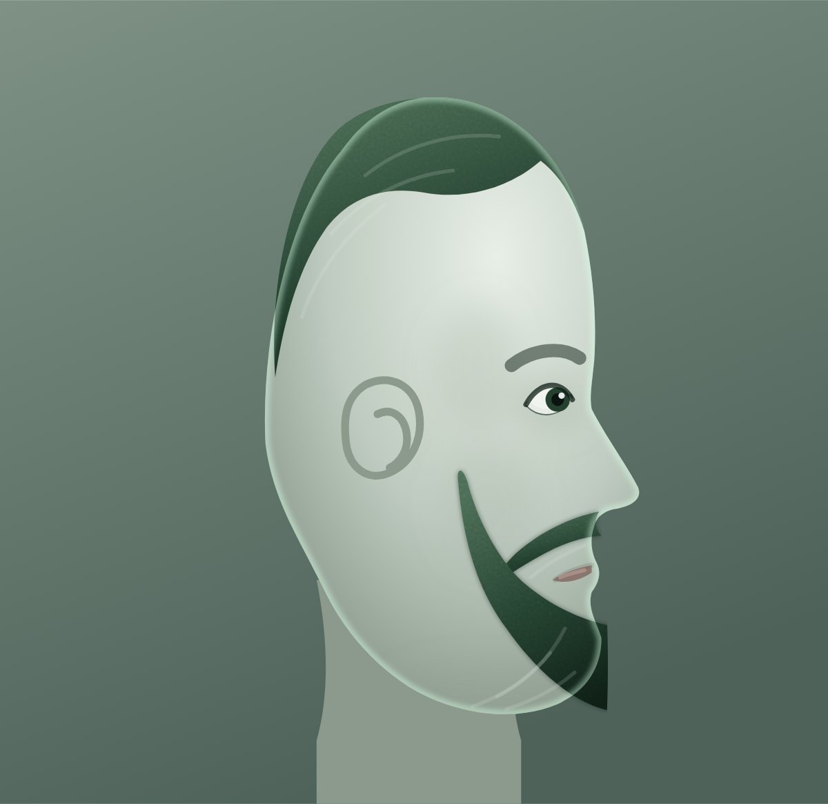 Profile diagram of the hollywoodian beard style, showing how far it runs back toward the ear.