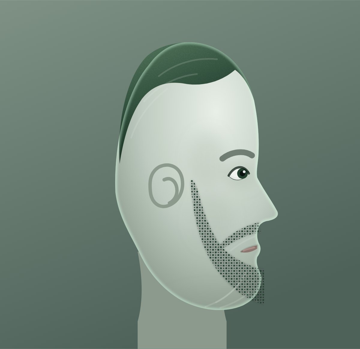 Profile diagram of the stubble beard style, showing how far it runs back toward the ear.