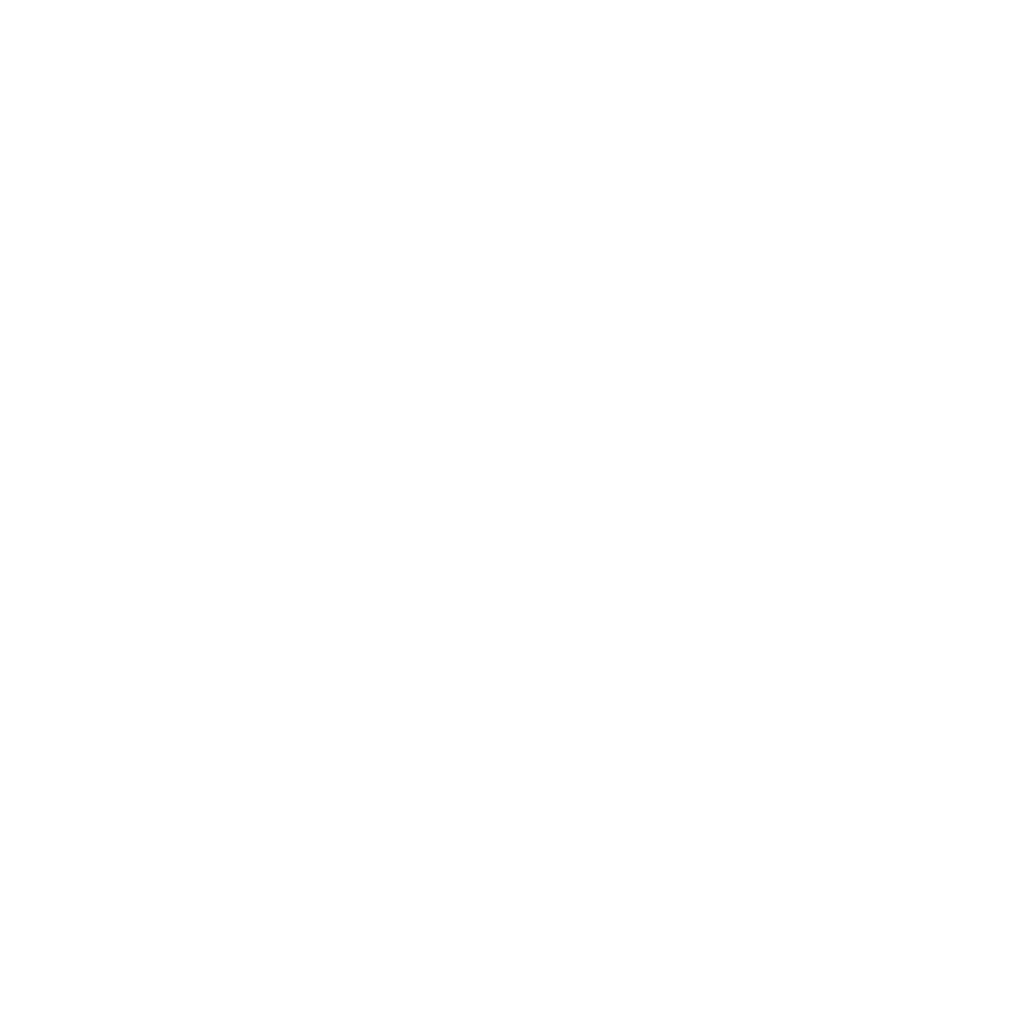 Smart Soft logo