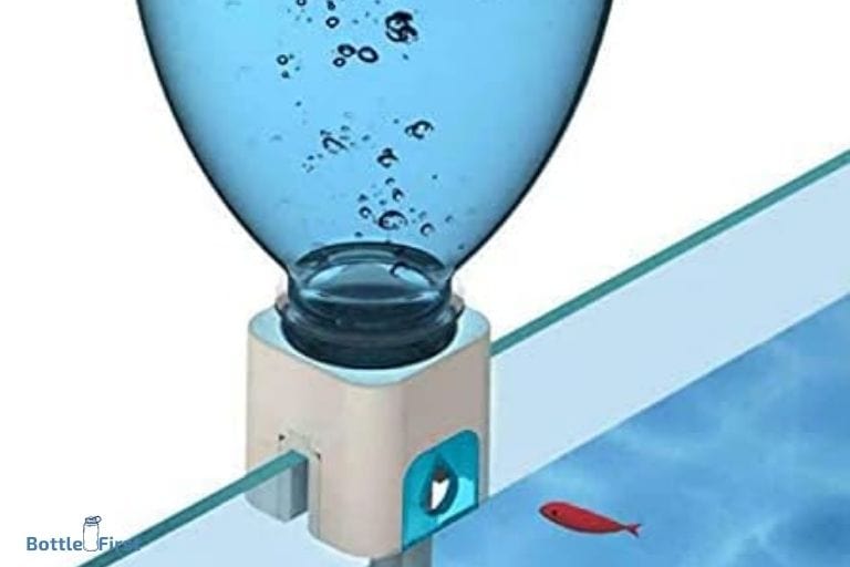 Diy Water Bottle Filter Aquarium