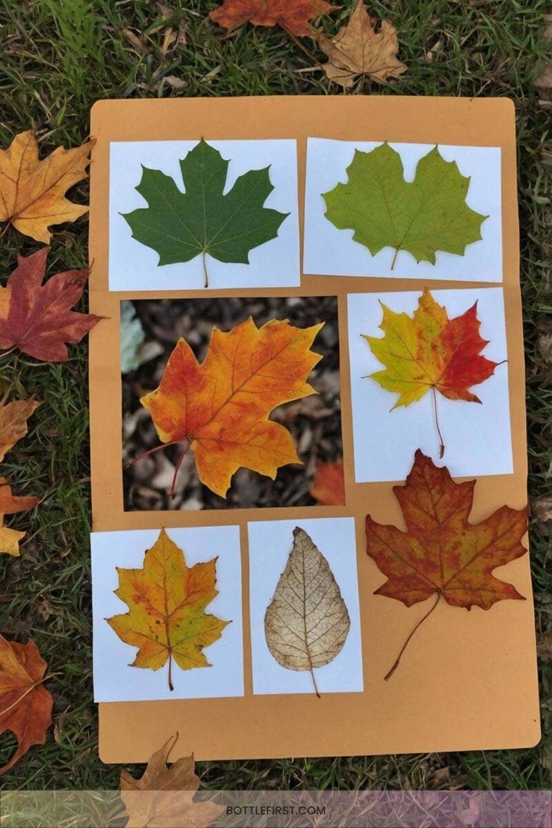 thanksgiving ideas for preschoolers - 23