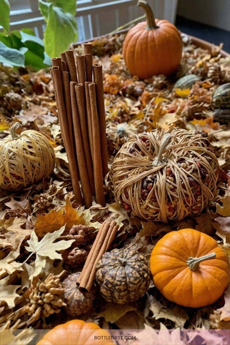 17. Harvest Sensory Bin 2