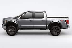 Reliable multi-purpose pickup truck ideal for sports equipment and outdoor adventures.