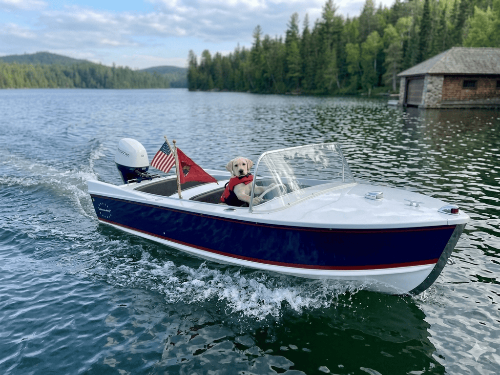 Dog riding in a boat on a lake with trees and a boathouse in the background.