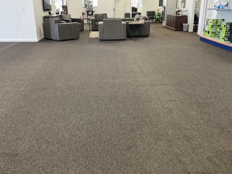 Clean and fresh commercial carpet after professional cleaning service.