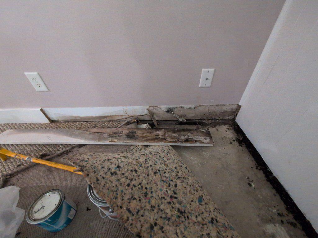 Water extraction process in progress after carpet cleaning and water damage.