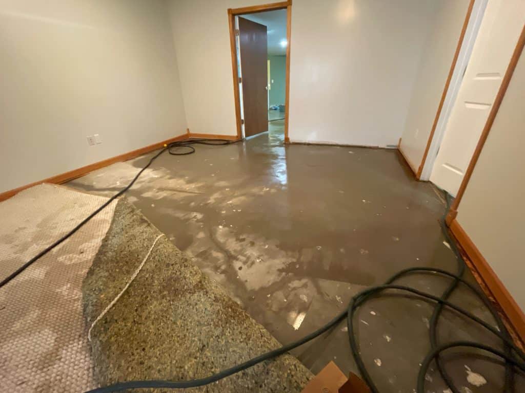 Room after water extraction showing wet floor and damaged carpet.