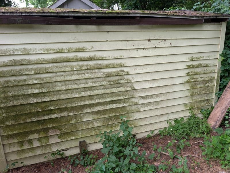 Dirty, moss-covered siding before power washing service.