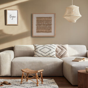 Natural Elements Shadow Box II