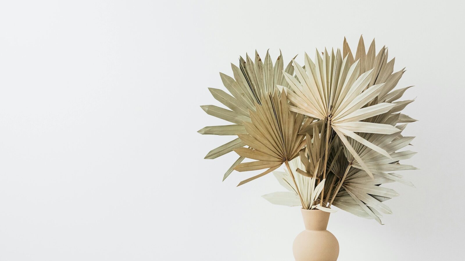 Minimalist Home Decor Ideas for a Modern and Serene Space