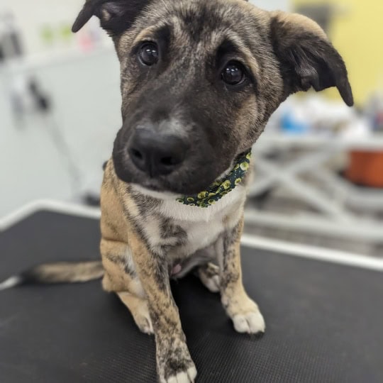 Rori gets first spa day