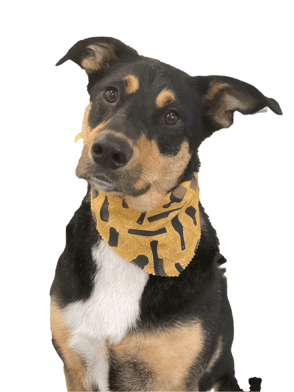 brown and black dog with yellow bandana