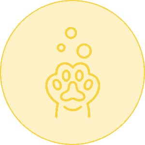 gentle brushing circle icon yellow