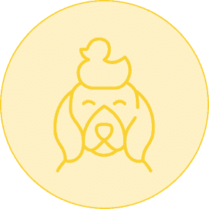 grooming consultation circle icon yellow