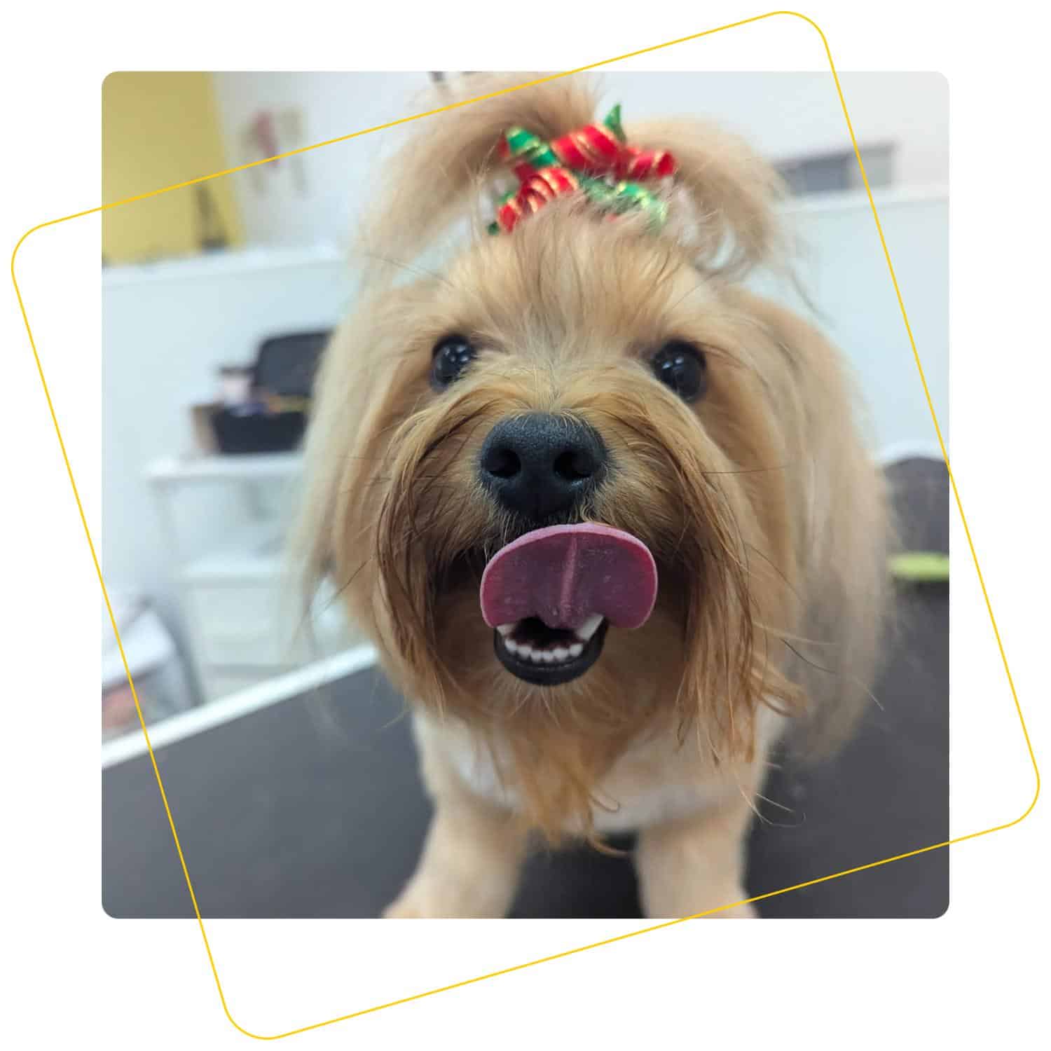 penelope with bow in hair