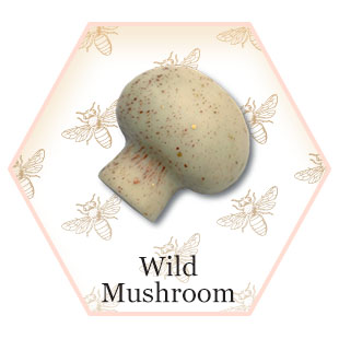 Isolated image of the Wild Mushroom Signature Chocolate from Chocolat Abeille in Bellevue, Nebraska