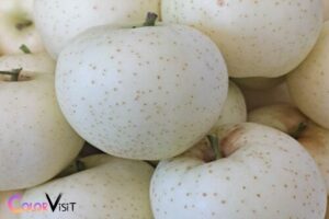 in summer squash white fruit color w is dominant 1